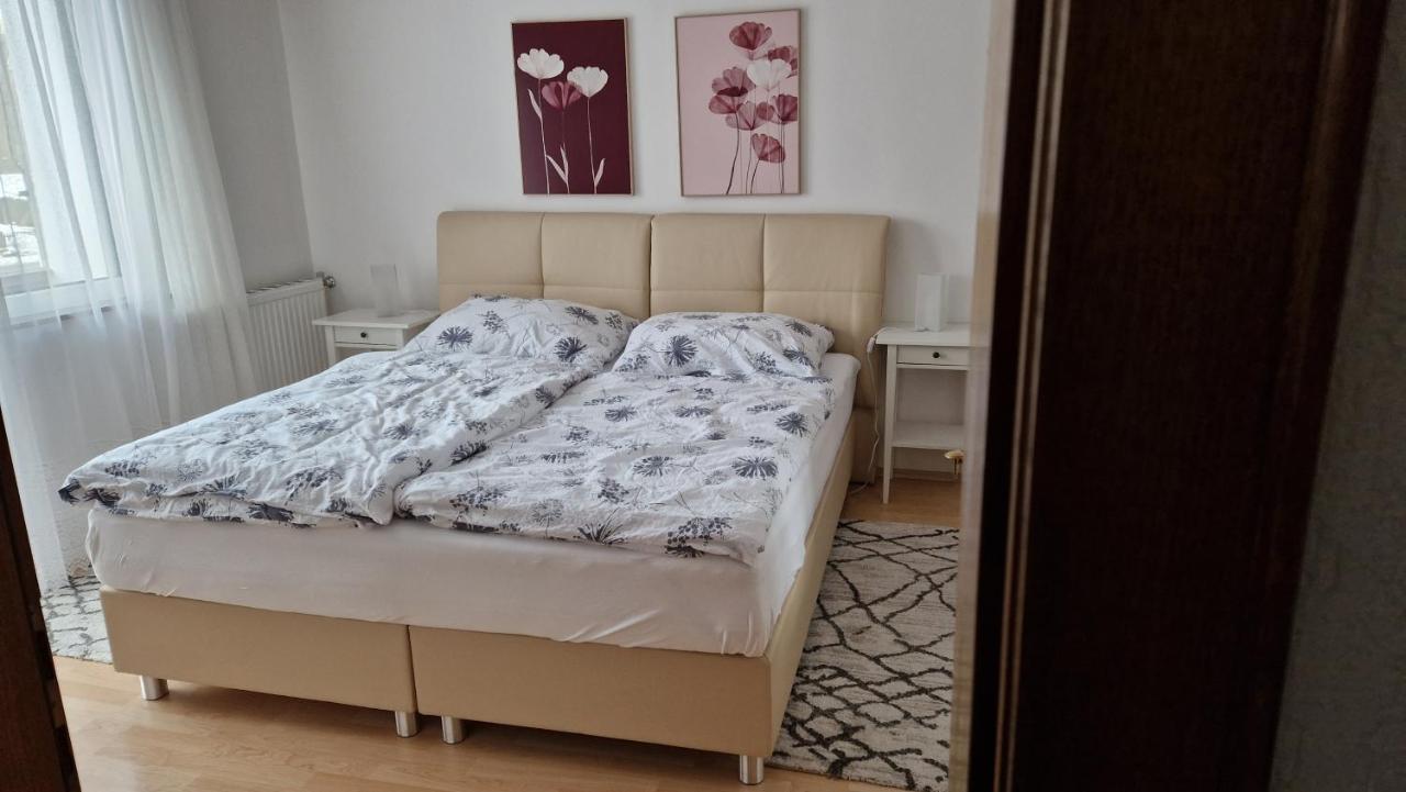 Ferienwohnung Edeltraud, Fusslaeufig Zum See Und 20 Minuten Vom Skigebiet Entfernt Döbriach Eksteriør billede